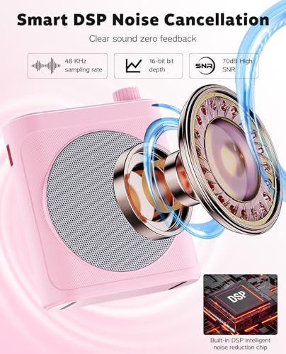 Tearstone Voice Amplifier for Teachers with Bluetooth, Dual Magnetic Mics | Portable Rechargeable Speaker with Clip-On Lapel Microphones for Classroom, Tour Guide, Public Speaking, Training (Pink) - color: Pink