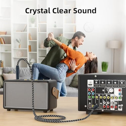 Female XLR to 1/4 Inch (6.35mm) TS Mono Jack Microphone Cable, 3.3FT Unbalanced 3 Pin XLR Female to Quarter inch TS Male Mic Cord for Dynamic Microphone Guitar Mixer - size: 3.3Feet, style: XLR Female to 1/4 Inch TS Cable