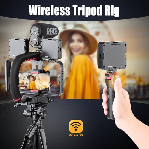 Zeadio Camera Smartphone Handheld Stabilizer, Triple Cold-Shoe Handle Grip Compatible with All Camera Action Camera DSLR Smartphone - style: Standard Version