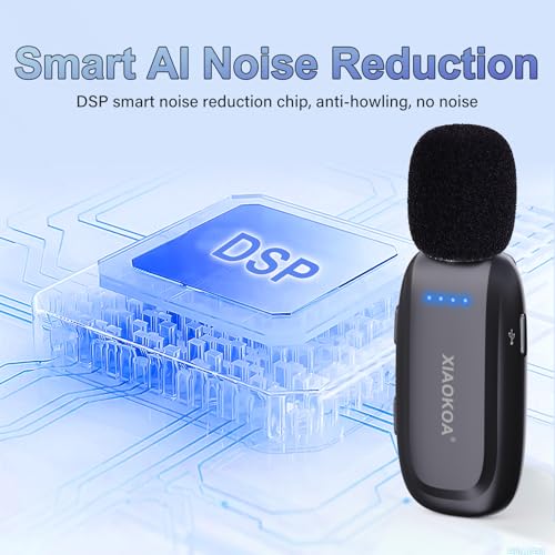 Wireless Lavalier Microphone with Voice Amplifier for Teachers | Bluetooth Speaker with Lapel Mic, Charging Portable Mini Mics, 2.4G Clip Microphones System for Tour Guides Fitness Meetings - color: Black2