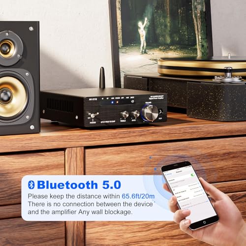 Facmogu AK-3116 HiFi Stereo Amplifier, Bluetooth 5.3 200W Dual TPA3116