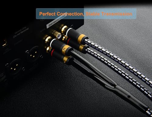 2 RCA to 2 RCA Audio Cable Silvered-Plated OFC Core 24K Gold-Plated Pure Copper Shell Braided for Home Theater HDTV Amplifiers Hi-Fi Systems Speakers and More (9.8FT/3m) - size: 9.8 ft
