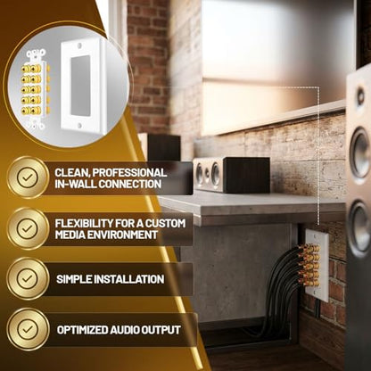 TNP Speaker Wall Plate for 1 Speaker, Banana Plug, Single Gang, White | Speaker Wire Wall Outlet with Gold-Plated Binding Posts for Spades or Bare Wire; for Home Theater and Surround Sound Setups - size: 5-Speaker