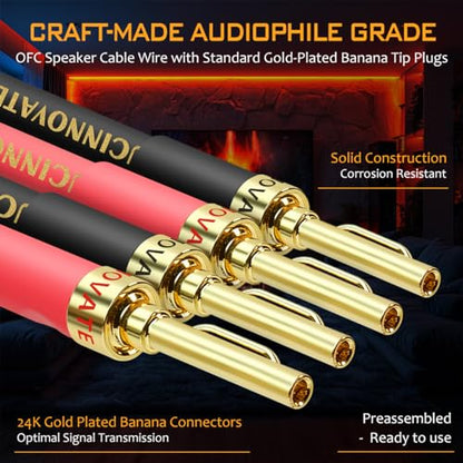 UCINNOVATE Heavy Duty Bi-Wired High-End OFC Speaker Cable 12AWG, 2 Pack Audiophiles HiFi Cold Welding Speaker Cable with Gold-Plated Pin Banana Plugs for Home Theater Surround Speakers 4m / 13.12FT - style: 2x 4m Bi-Wire Speaker Cable