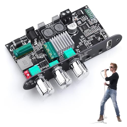 Bluetooth5.3 Mini Amplifier Board 100W Mono Power Amp with TWS Box | Karaoke Audio Amps Module with Boost for Home/Outdoor DIY Speakers, DC 9-24V, MIC and Reverb, Supports BT/USB/AUX Inputs - color: Silver ZK-1001UM