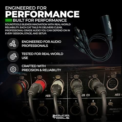 Sound Tools CAT Tails FMX - 무대 및 라이브 사운드용 알루미늄 하우징 | 4 채널 2 수 + 2 암 XLR to EtherCON 브레이크 아웃 테일 - CAT5e/6/7을 통한 아날로그 오디오 보내기/반환 - Neutrik 커넥터 - size: XLR - Send Receive