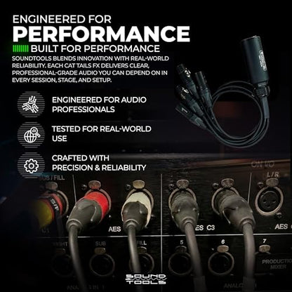 Sound Tools CAT Tails FMX - 무대 및 라이브 사운드용 알루미늄 하우징 | 4 채널 2 수 + 2 암 XLR to EtherCON 브레이크 아웃 테일 - CAT5e/6/7을 통한 아날로그 오디오 보내기/반환 - Neutrik 커넥터 - size: XLR - Send Receive