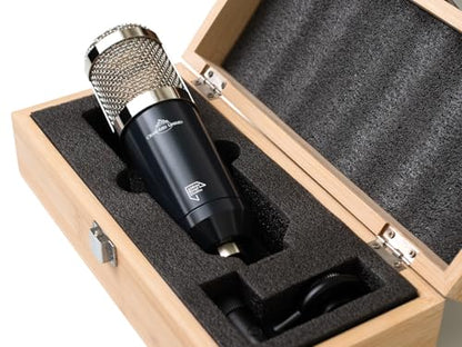 TG Microphone Type L Large-Diaphragm Condenser