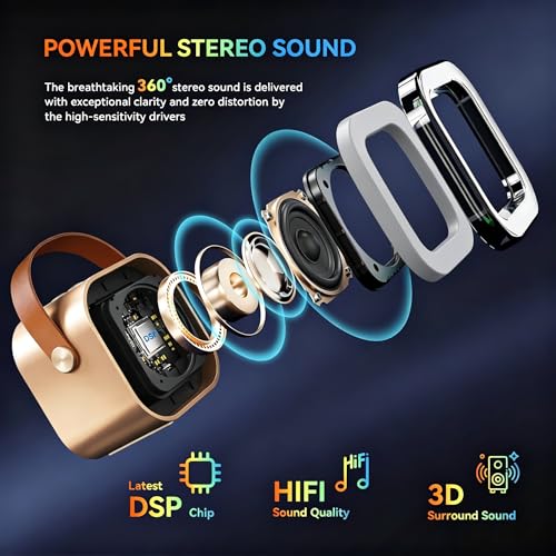VOSOCO Mini Karaoke Machine, Portable Karaoke Player with 2 Wireless Microphones, Karaoke Speaker Supports USB AUX TF for Home Party Outdoor Travel (Gold)