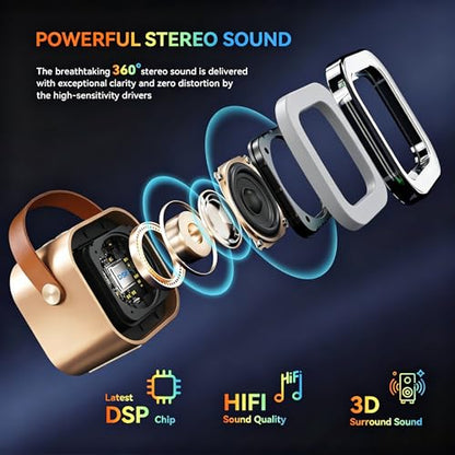 VOSOCO Mini Karaoke Machine, Portable Karaoke Player with 2 Wireless Microphones, Karaoke Speaker Supports USB AUX TF for Home Party Outdoor Travel (Gold)
