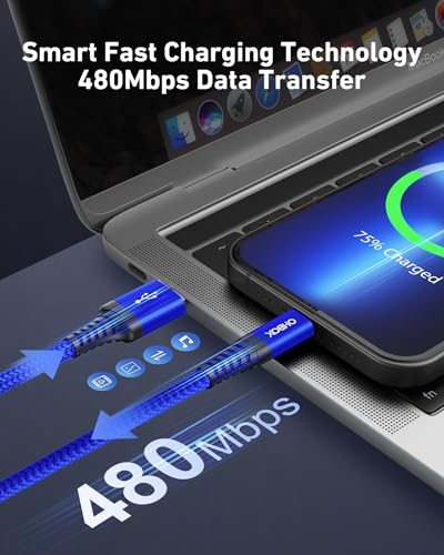 USB A to USB C 케이블 60W 고속 충전 [2팩 1.8m(6피트), USB to USB C 케이블 | CarPlay, USB 타입 C 아이폰 충전기 내구성이 뛰어난 브레이드 USBC 코드 아이폰 17/16/15/프로 맥스/삼성 갤럭시 S23 및 기타용 - 블루 - color: 블루., size: 6피트, style: USB A to USB C