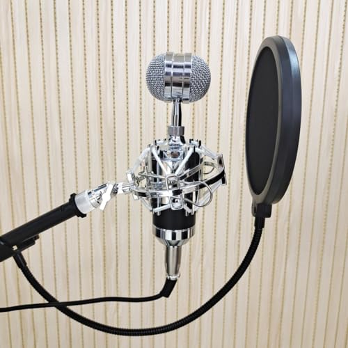Double Layer Microphone Mic Shield with Swivel Mount for Recording