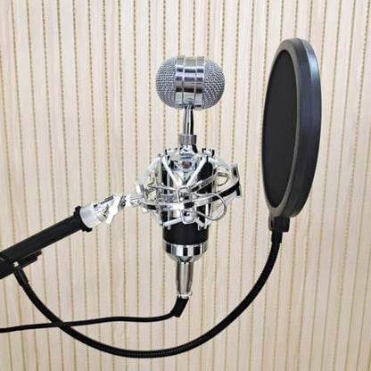 Double Layer Microphone Mic Shield with Swivel Mount for Recording