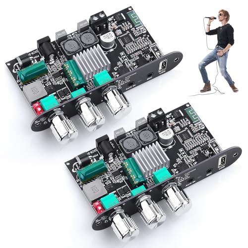 ZK-1001UM Bluetooth 5.3 Amplifier Board, 100W Mono Audio Amp with TWS Box | Mini Boost Circuit Amps for Home Outdoor DIY Speakers, MIC and Reverb, USB/AUX Input,DC 9-24V (2 Pack) - color: Silver 2PCS ZK-1001UM