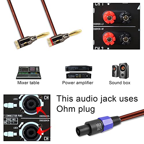 GINTOOYUN Banana Plug to Speakon Cable Double Banana Plug to Speakon Male Speaker Cable for Loudspeakers,Power Amplifiers,Stage Monitors,etc(6.5 FT)