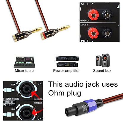 GINTOOYUN Banana Plug to Speakon Cable Double Banana Plug to Speakon Male Speaker Cable for Loudspeakers,Power Amplifiers,Stage Monitors,etc(6.5 FT)
