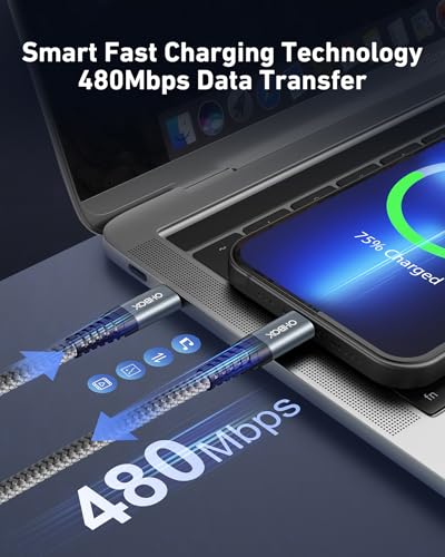 짧은 USBC to USBC 케이블 3m(1피트), 60W USB 타입 C 고속 충전 케이블 자동차용 | 내구성이 뛰어난 아이폰 USB C - USB C 충전기 케이블 USB C 코드 아이폰 17/16/15/프로 맥스/플러스, 삼성 갤럭시 S26 및 기타 - 2팩 - color: 회색., size: 1피트, style: USB C - USB C