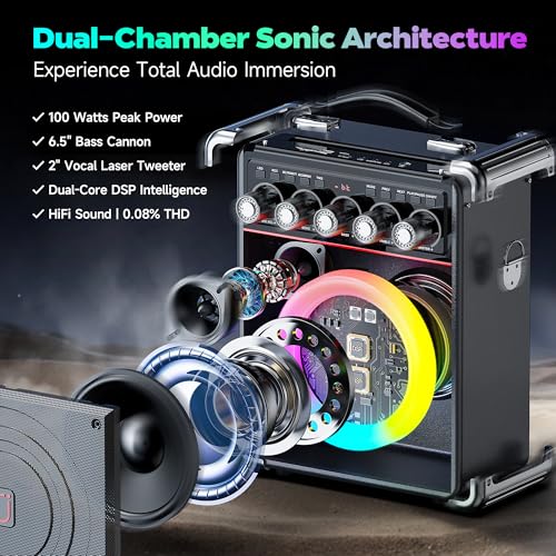 Karaoke Machine for Adults with Bass/Treble/Echo Adjustment, 100W PA System - color: Black