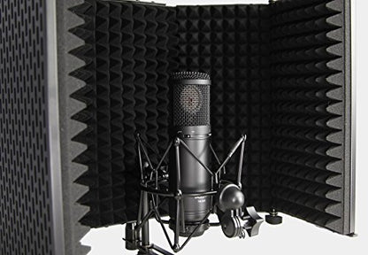 Tascam TM-AR1 Microphone Reflection Filter