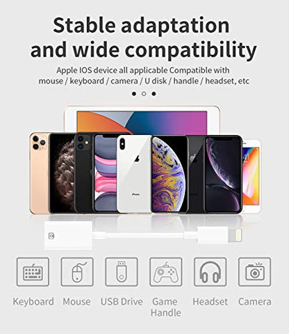 Zoyuzan Lightning Male to USB Female Adapter OTG Cable for Apple iPhone 11 12 Mini Max Pro XS XR SE2 7 8plus Ipad Air3 A Camera Memory Card Reader - color: Lightning to USB 1Pack