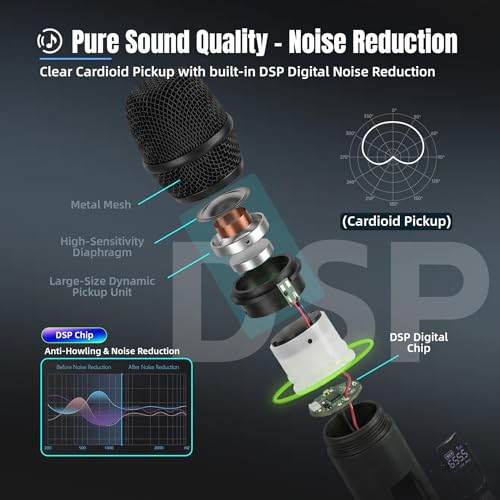Wireless Karaoke Microphone with RGB LED, 2-Pack