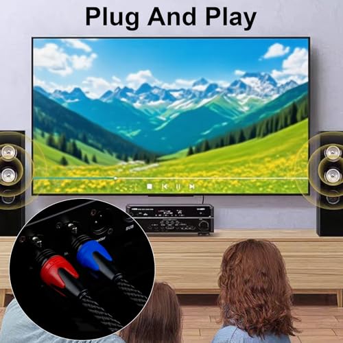 Poyiccot USB to XLR Auido Amplifier Cable, USB A to Dual XLR Male Audio Cable, PC Type A to Stereo Splitter Power Amplifier Converter Prefossional for Mixer, Laptop, Speaker, etc 3.3ft