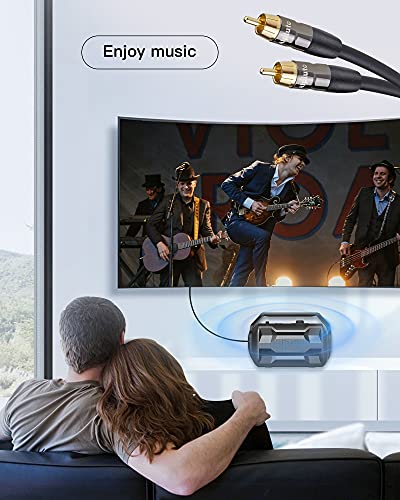 Subwoofer Cable - RCA to RCA Audio Cable, Dual Shielded with Gold Plated Connectors - Black (20FT)