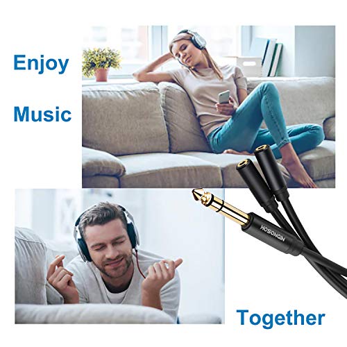 HOSONGIN 1/4 inch TRS to Dual 3.5mm Female Y Cable, 1.5ft, Black Copper Wire & Gold Plated Connectors, Compatible with Headphones - style: 1/4" TRSM to Dual 1/8" TRSF