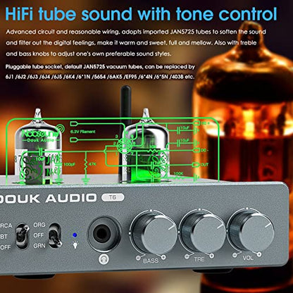Douk Audio T6 2 Channel 80 watts x2 Bluetooth Tube Amplifier Hi-Fi Stereo Power Amp Audio Wireless Receiver with Headphone/Line Output & Treble Bass Tone Control