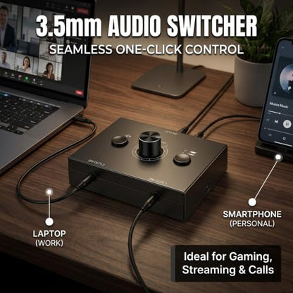 3.5mm Audio Switcher Passive Speaker Selector with Mute