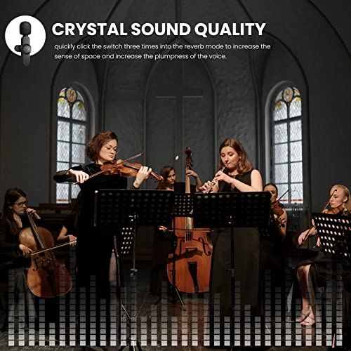 tongyu Wireless Lavalier Microphone for iPhone/iPad with Noise Reduction, Mini Microphones Wireless with Furry Microphone Cover, iPhone Microphone Wireless for Video Recording/YouTube/Vlog (2 Mics)