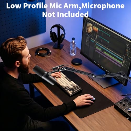 Mic Stand for Lightweight Mics,Microphone Boom Arm with Cable Management & 3/8" 5/8" Threads,Foldable for Streaming,Podcasting,Gaming