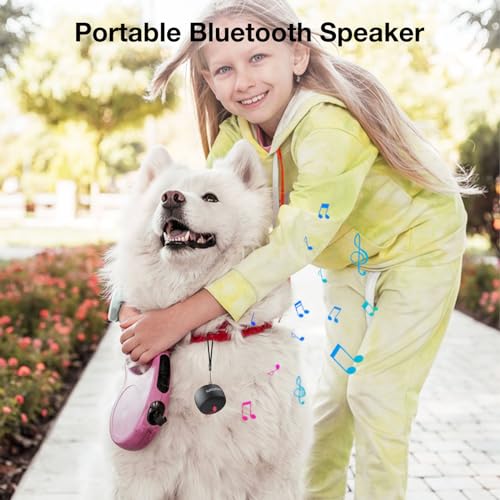 Mini Bluetooth Speaker, Tiny Gifts with TWS Pairing, Small Bluetooth Speaker for Outdoor and Indoor, Built-in Mic(Black) - color: Black, style: mini