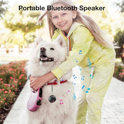 Mini Bluetooth Speaker, Tiny Gifts with TWS Pairing, Small Bluetooth Speaker for Outdoor and Indoor, Built-in Mic(Black) - color: Black, style: mini