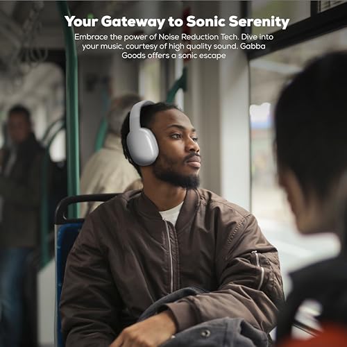 Gabba Goods Wireless Over Ear Bluetooth Headphones with Microphone - Wireless Headset -Noise Reduction - Bluetooth, Wired,Built in Micro SD for Travel, Home, Work TV,PC,Gaming,Cellphone (Silver) - color: Silver