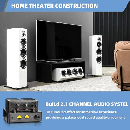Tube Amplifier, Stereo Vacuum Tube Class A/B Amplifier,Integrated Amplifier with Bluetooth 5.0,Subwoofer Output, Headphone Output, Record Player Phono Preamp and USB DAC
