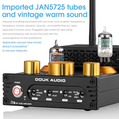 Douk Audio Tube Phono Amp: Bluetooth Receiver | 2-Channel Amplifier for MM Turntables | 160W×2 TDA7498E | Tone Control | for Desktop Vinyl HiFi Home Audio System (X1)