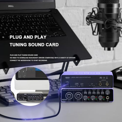 USB Audio Interface SOLO with XLR/48V Phantom Power,32Bit/192kHz High-Fidelity, for Studio Audio Mixer Interface for Guitarist, Vocalist, Podcaster, Producer, Plug and Play (U202P)