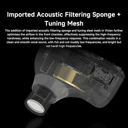 CVJ Vivian in Ear Monitor, HiFi Wired Earbuds, Gaming Earbuds, 3.5mm Jack, Deep Bass IEM Wired Earbuds, 0.78mm 2 Pins, Detachable 4.1ft Cable for Singer, Musician, Drummer, Audiophiles, No Mic - color: Vivian Printed Pattern, style: no Mic