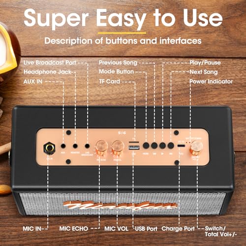 Karaoke Machine, Retro-Design Speaker with 2 Wireless Microphones for Adults & Kids, Portable Karaoke System for Home Party, Bluetooth/AUX/USB/TF/TWS Support, Gifts for Women & Girls - style: Black