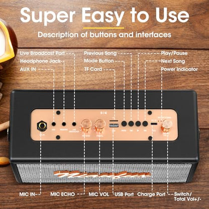 Karaoke Machine, Retro-Design Speaker with 2 Wireless Microphones for Adults & Kids, Portable Karaoke System for Home Party, Bluetooth/AUX/USB/TF/TWS Support, Gifts for Women & Girls - style: Black