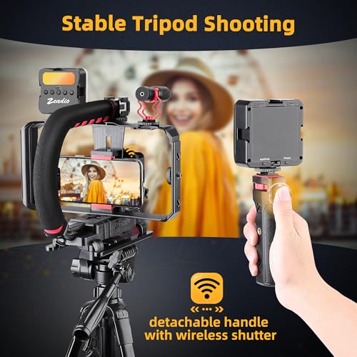 Zeadio Smartphone Camera Stabilizer, All-in-One Video Rig Kit with Phone Cage, RGB Video Light, Microphone, Action Camera Adapter, Compatible with Smartphones, Action Camera, DSLR, Cameras etc - style: Pro Kit