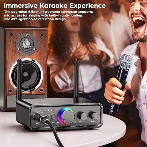 Bluetooth 5.3 Transmitter Receiver 2-in-1 Wireless Audio Adapter with Remote 6.5mm Mic Connection AUX RCA Coaxial Optical USB Input Bluetooth Audio Receiver for TV/PC/Headphone/KTV/Home Stereo