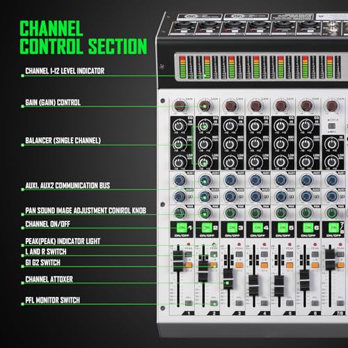 12-Channel Professional Audio Mixer, DK-12 Mixing Console with XLR Inputs, Bluetooth, 99 DSP Effects, MP3, USB Interface for Podcast, Music, Recording, PC 14.76"x1.96“x17.40"inches