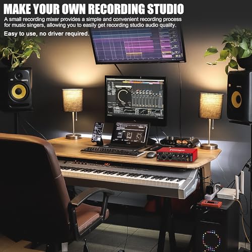 2x2 USB Audio Interface for PC, with 48V Phantom Power, 24Bit/192kHz High-Fidelity, Mic Preamplifier XLR/TSR/TS Ports, Compatible for Guitarist, Vocalist, Podcaster or Producer