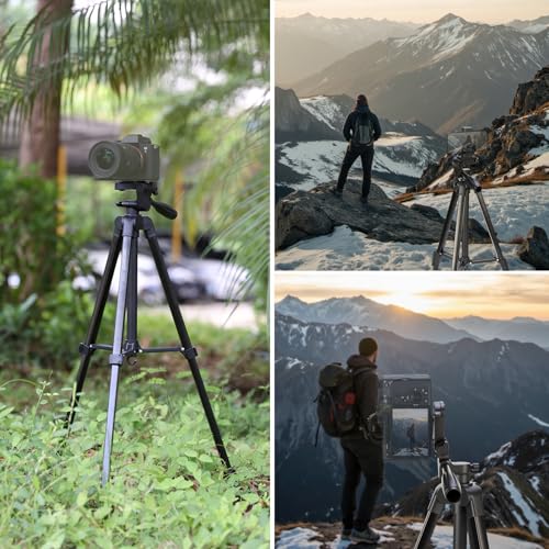 NEEWER Entry Level Version Tripod for Cell Phone & Camera, Metal Lightweight Portable Travel Stand with Cold Shoe Cellphone Holder Mount Compatible with iPhone for Video Recording Filming, TP53 - style: TP53