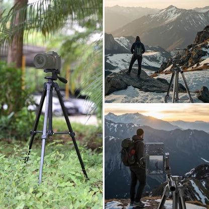 NEEWER Entry Level Version Tripod for Cell Phone & Camera, Metal Lightweight Portable Travel Stand with Cold Shoe Cellphone Holder Mount Compatible with iPhone for Video Recording Filming, TP53 - style: TP53