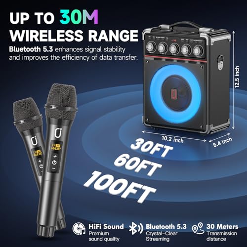 Karaoke Machine for Adults with Bass/Treble/Echo Adjustment, 100W PA System - color: Black