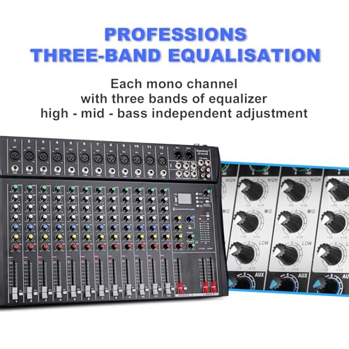 Depusheng DT12 Studio Audio Mixer 12-Channel DJ Sound Controller Interface w/USB Drive for Computer Recording Input, XLR Microphone Jack, 48V Power, RCA Input/Output for Professional and Beginners