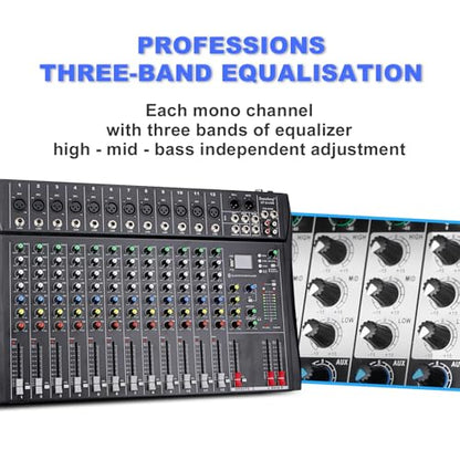 Depusheng DT12 Studio Audio Mixer 12-Channel DJ Sound Controller Interface w/USB Drive for Computer Recording Input, XLR Microphone Jack, 48V Power, RCA Input/Output for Professional and Beginners